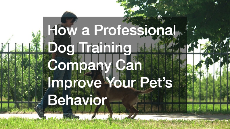 How a Professional Dog Training Company Can Improve Your Pets Behavior
