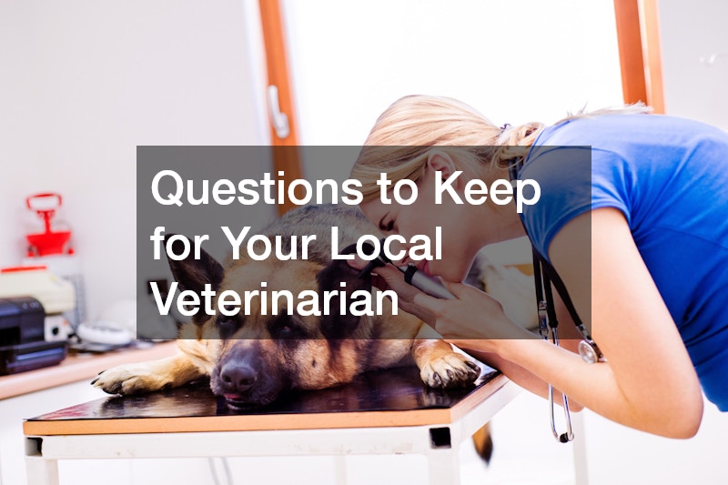 Questions to Keep for Your Local Veterinarian